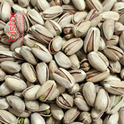 پسته اکبری شاه پسند اعلا + محصولی لوکس برای بازار خشکبار + قیمت و خرید عمده